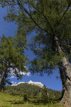 mountain leobner mauer on hochschwab, styria,austria