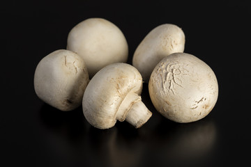 マッシュルーム