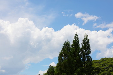 爽やかな夏の雲