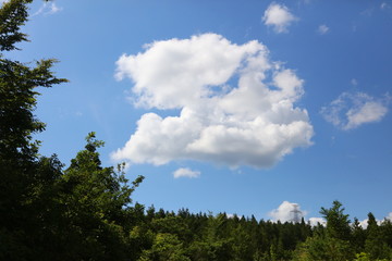 爽やかな夏の雲