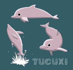 Tucuxi Dolphin Cartoon Vector Illustration