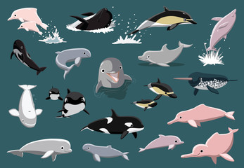 Naklejka premium Ilustracja wektorowa kreskówka różnych delfinów