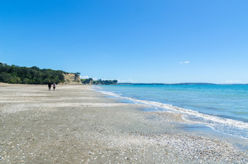 Long Bay Regional Park in Auckland,New Zealand.People can seen exploring and relaxing around it.