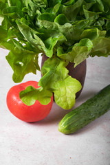 nature grass salad lettuce green red tomatoes cucumbers vegetarianism