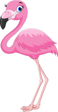 Cartoon pink flamingo bird