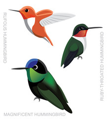 Bird Hummingbird Set Cartoon Vector Illustration