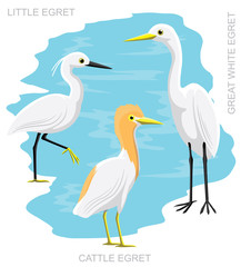 Bird Egret Set Cartoon Vector Illustration