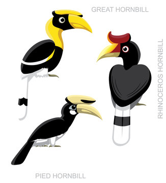 Bird Hornbill Set Cartoon Vector Illustration