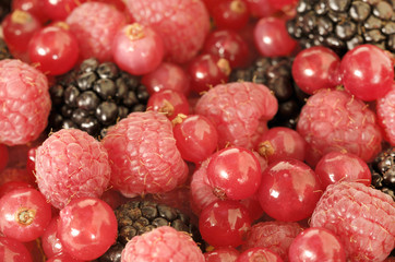 detail of a group of red berries