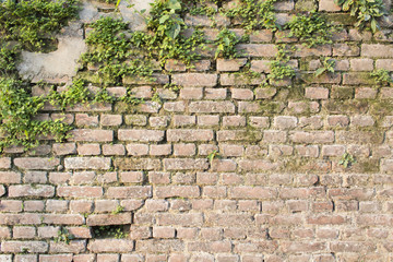 Old brick wall