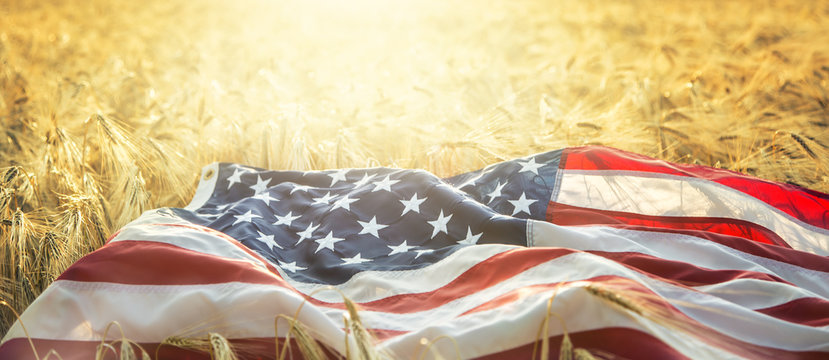 American flag lies on the golden wheat field - Powered by Adobe