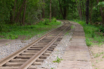 Obraz premium railway in the forest