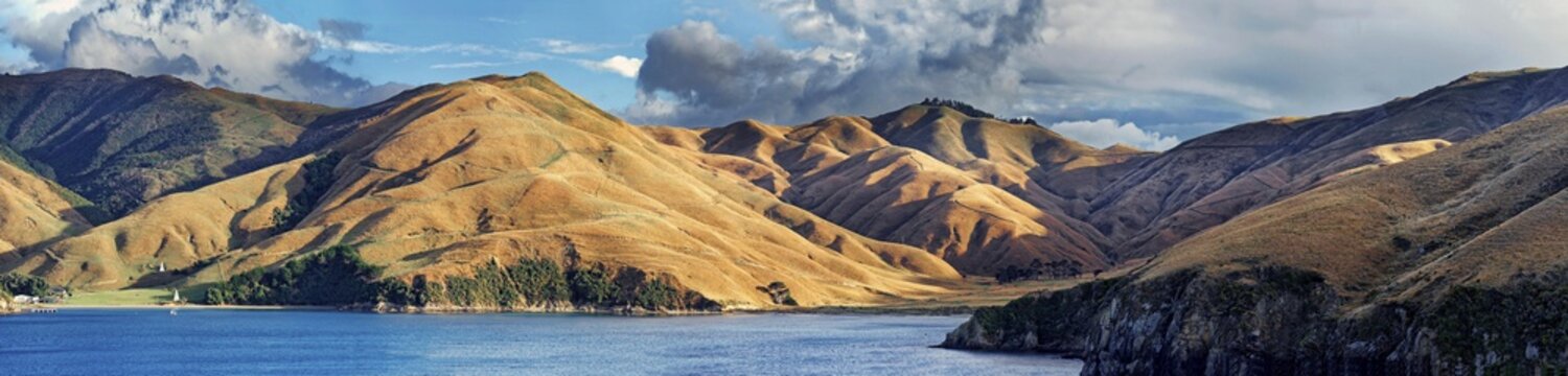 deforested Coastal Mountains in Queen Charlotte Sound, Marlborough Sounds, Cook Strait, Picton, South Island, New Zealand, Oceania