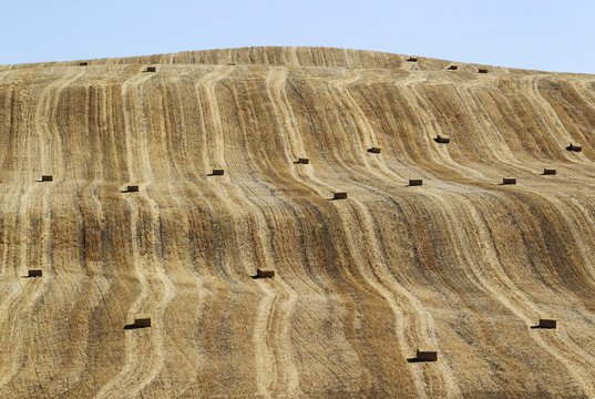 Bales of straw and abstract patterns in cornfield after wheat harvest, Cordoba province, Andalusia, Spain, Europe
