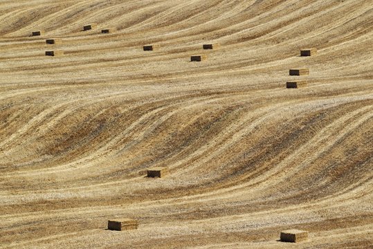 Bales of straw and abstract patterns in cornfield after wheat harvest, Cordoba province, Andalusia, Spain, Europe