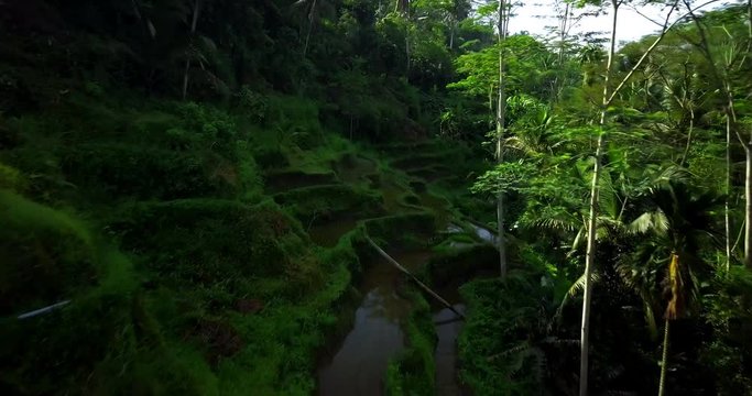 Hillside with rice farming. World's most beautiful landscapes in nature. Typical Asian green cascade rice field terraces paddies. Ubud. Bali. Indonesia. Same as Guillin. China. Drone aerial view.