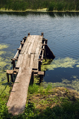 Wooden bridge on the river. Lilies and reeds. Landscape.