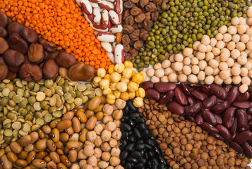 set of legumes isolated