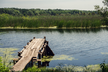 Wooden bridge on the river. Lilies and reeds. Landscape.