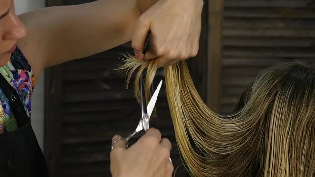 Trimming women's hair at the beauty salon. Hairdresser trimming hair with scissors