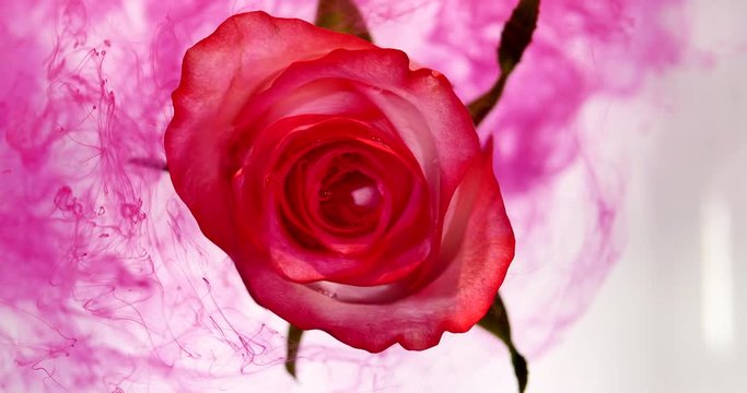 Top view of colorful drop falling on a beautiful spinning flower.