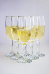 A group of glasses with champagne on a white background.