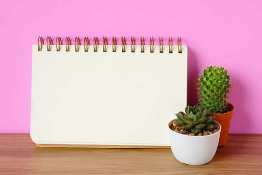 Cactus, succulent plants and blank notebook paper on wooden table and pink background, desert houseplant trendy design background concept