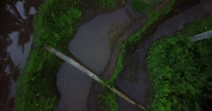 Hillside with rice farming. World's most beautiful mountains landscapes shape in nature. Typical Asian green cascade rice field terraces paddies. Ubud. Bali. Indonesia. Same as Guillin. China.