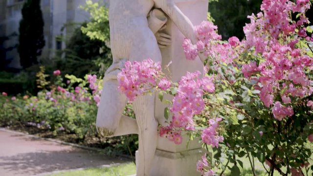 sculpture of fallen angel through Flowering bushes in the rose garden
