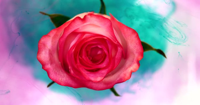 Top view of the colorful spreading paint on a beautiful spinning flower.
