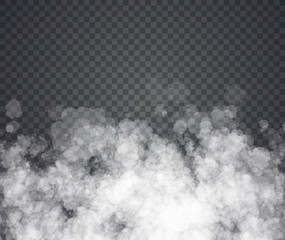 Fog or smoke. Illustration on transparent background. Graphic concept for your design