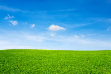 Papier Peint photo autocollant Campagne Green meadow under blue sky