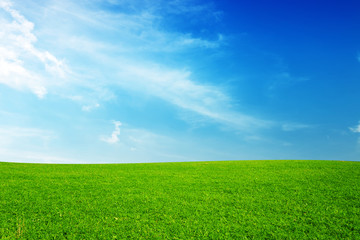Green meadow under the bright sky