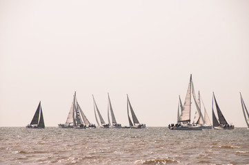 Fototapeta premium nautisme voiliers en mer
