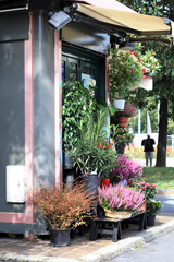 Fototapeta na wymiar flower stall in Italy