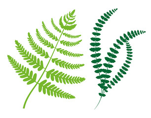 Greenery Collection Leaves Vector Illustration