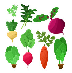Vitaminic Vegetable Collection Color Vector Poster