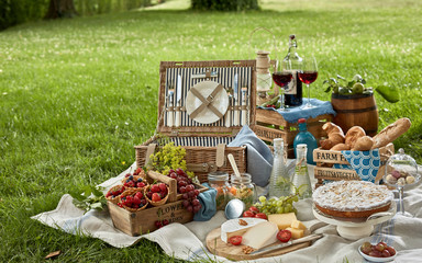 Gourmet picnic lunch in a park