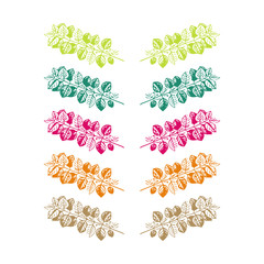 Beautiful plant clip art