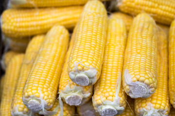 Fresh yellow corn for sale at farmers market