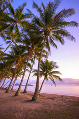Sunrise at Palm Cove one of the popular tourist towns north of Cairns in Tropical North Queensland,...
