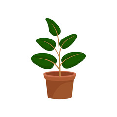 Green decorative houseplant for interior design vector Illustration on a white background