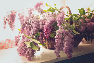 fresh blooming branches of lilac in a vintage wicker basket on the table home decor