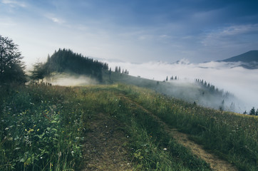 Foggy morning shiny summer landscape with mist and mountain road