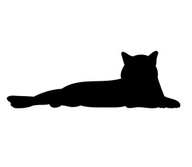 vector, isolated silhouette cat laying
