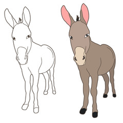 vector isolated donkey, mule, outline