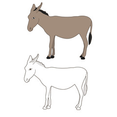 isolated donkey, mule, outline