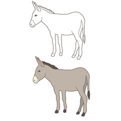 donkey, mule, outline