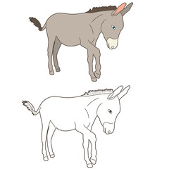 donkey drawing, going,