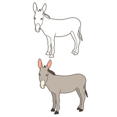  isolated donkey donkey, worth